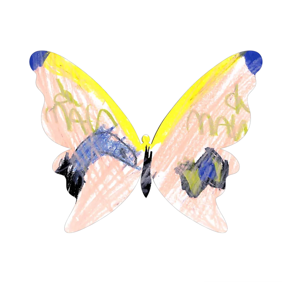 Original Butterfly Image