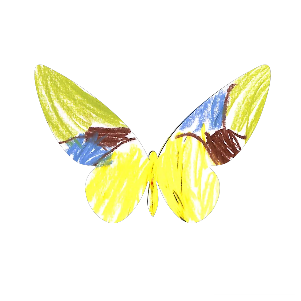 Original Butterfly Image
