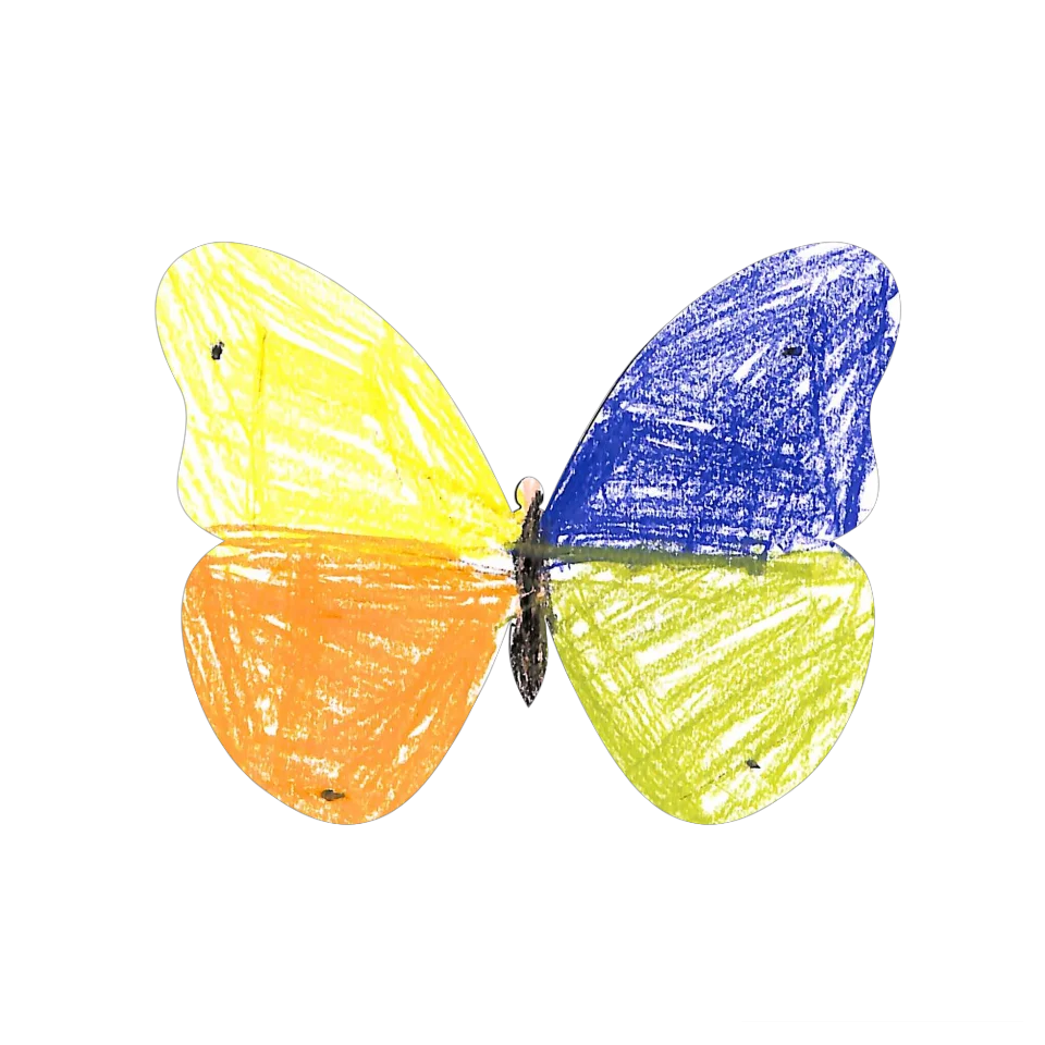Original Butterfly Image