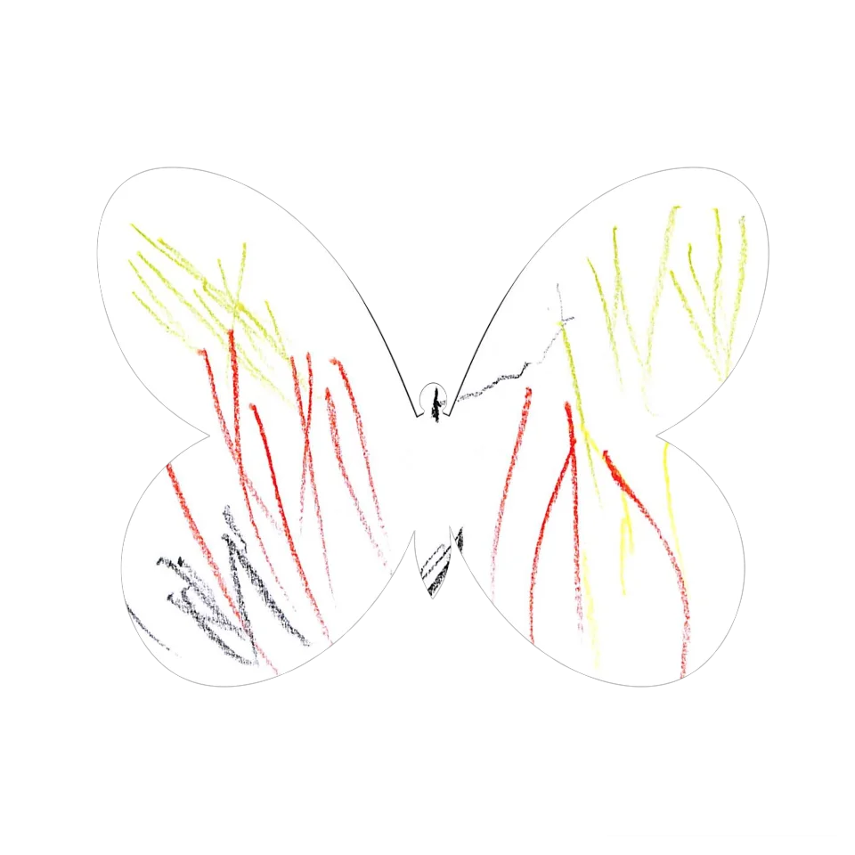 Original Butterfly Image