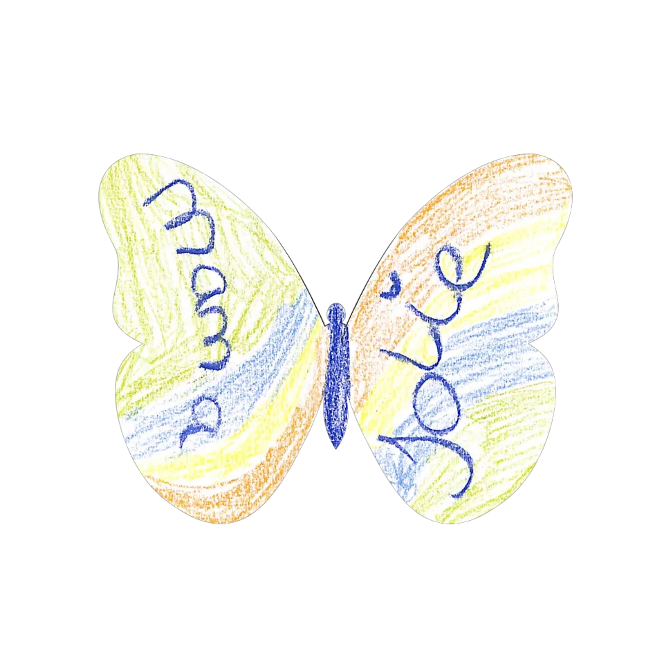 Original Butterfly Image