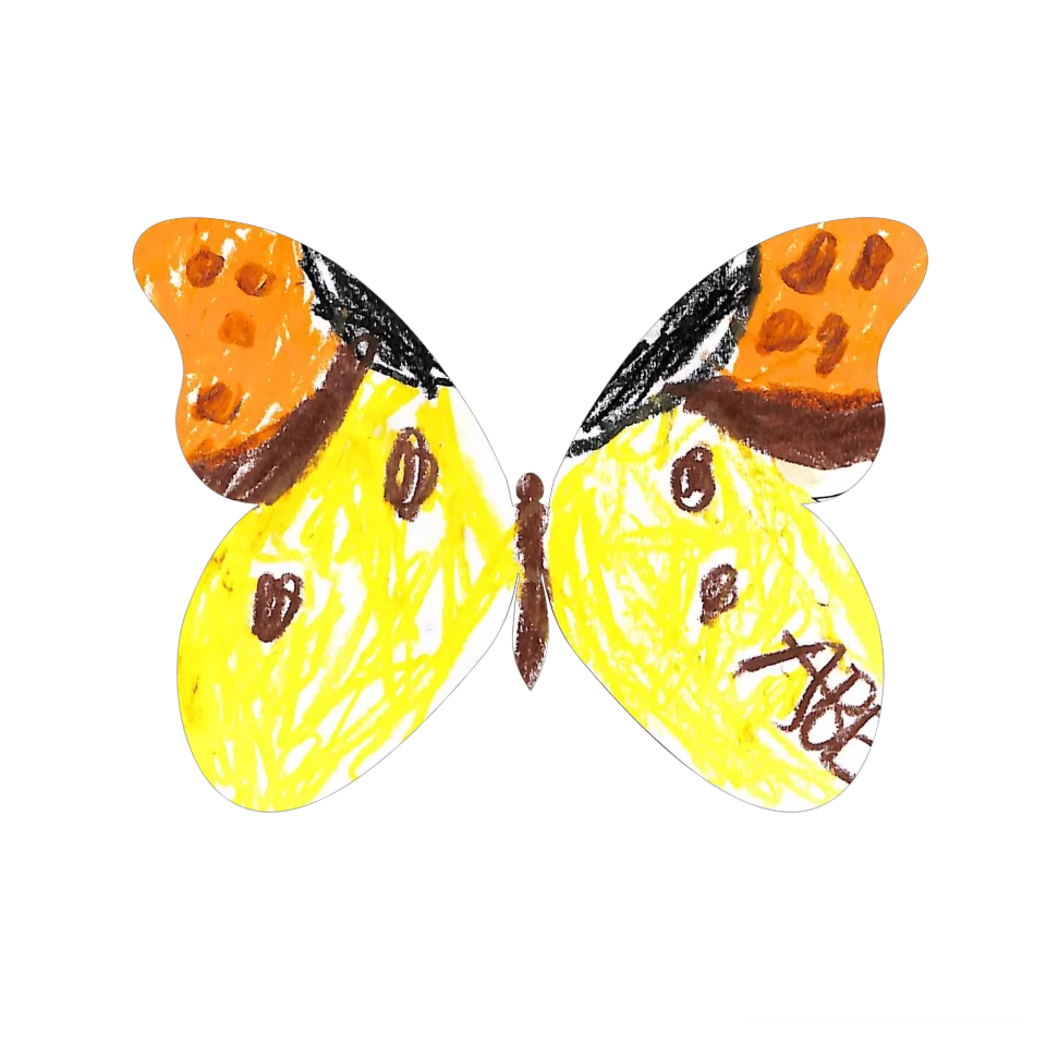 Original Butterfly Image