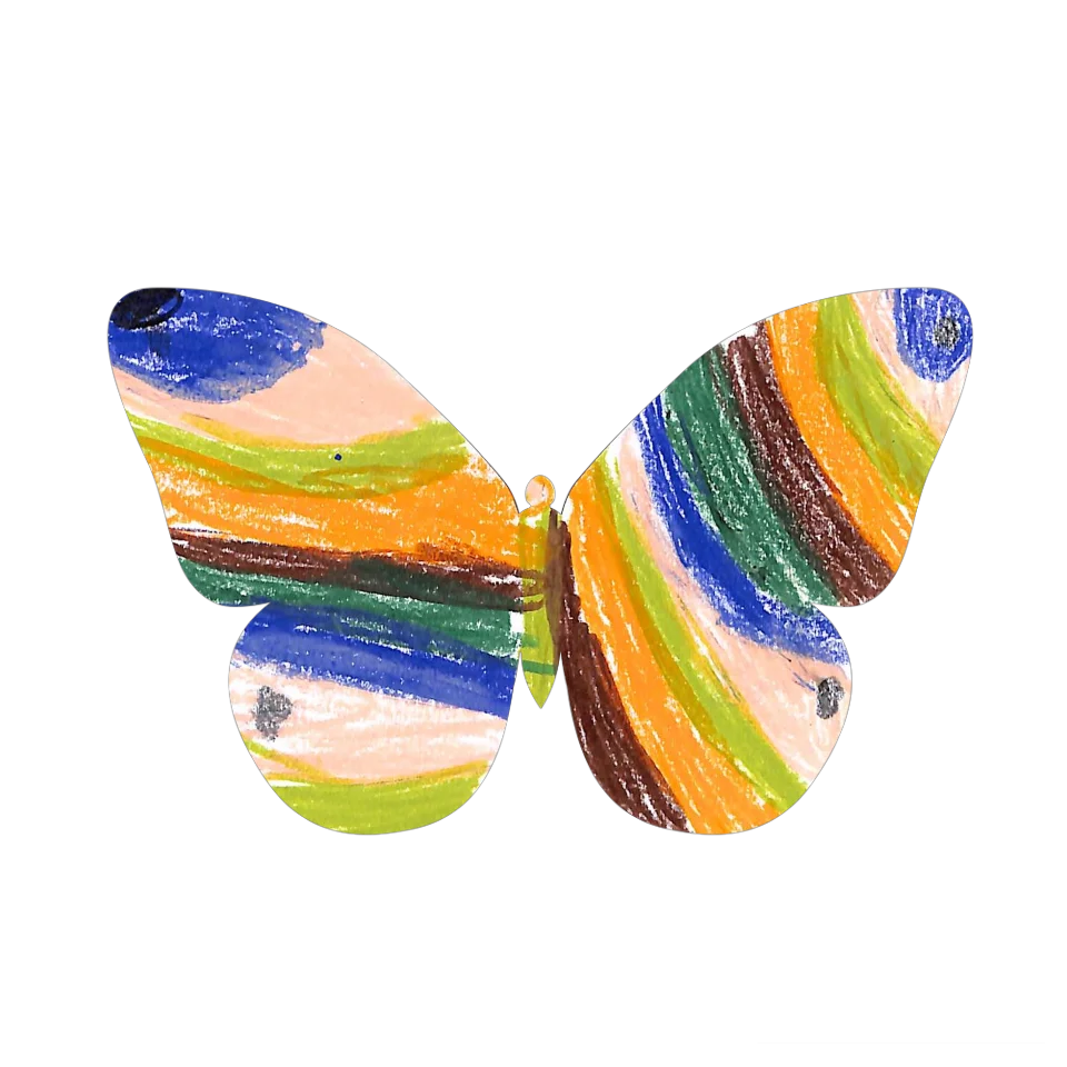 Original Butterfly Image