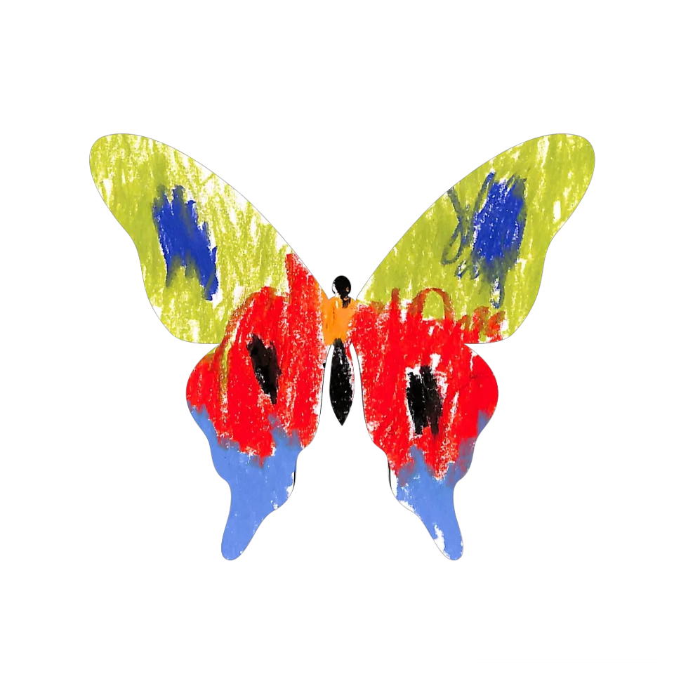 Original Butterfly Image