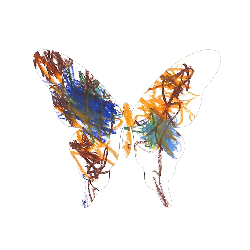 Original Butterfly Image