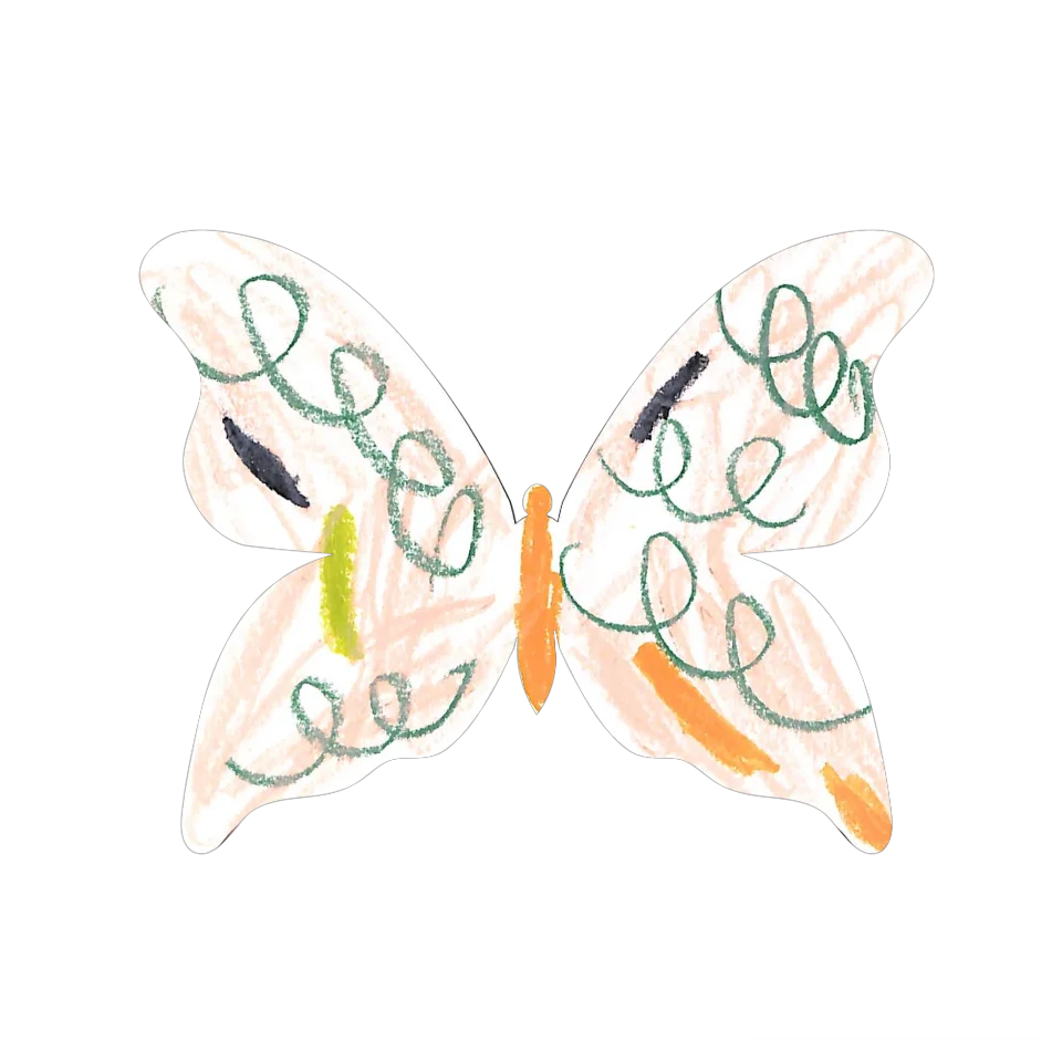 Original Butterfly Image