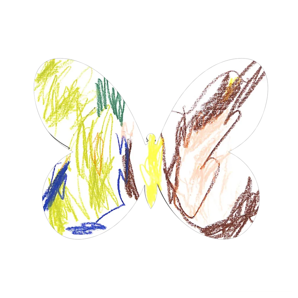 Original Butterfly Image