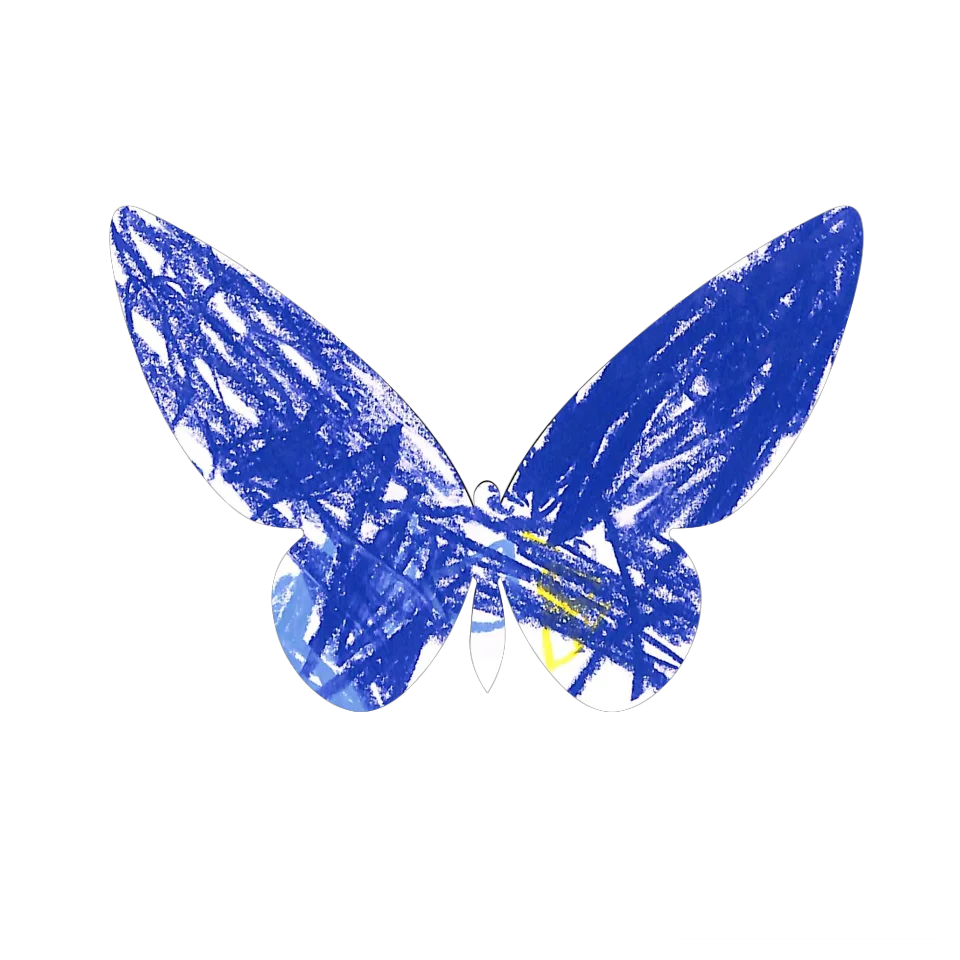 Original Butterfly Image