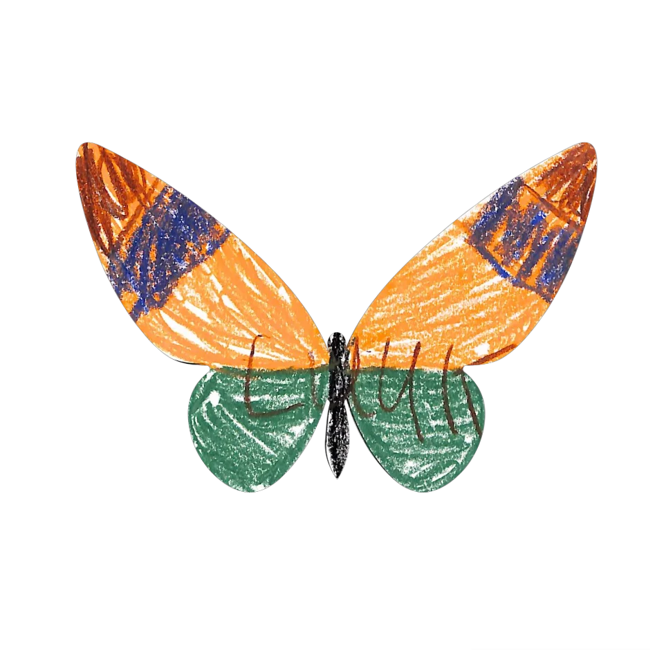 Original Butterfly Image