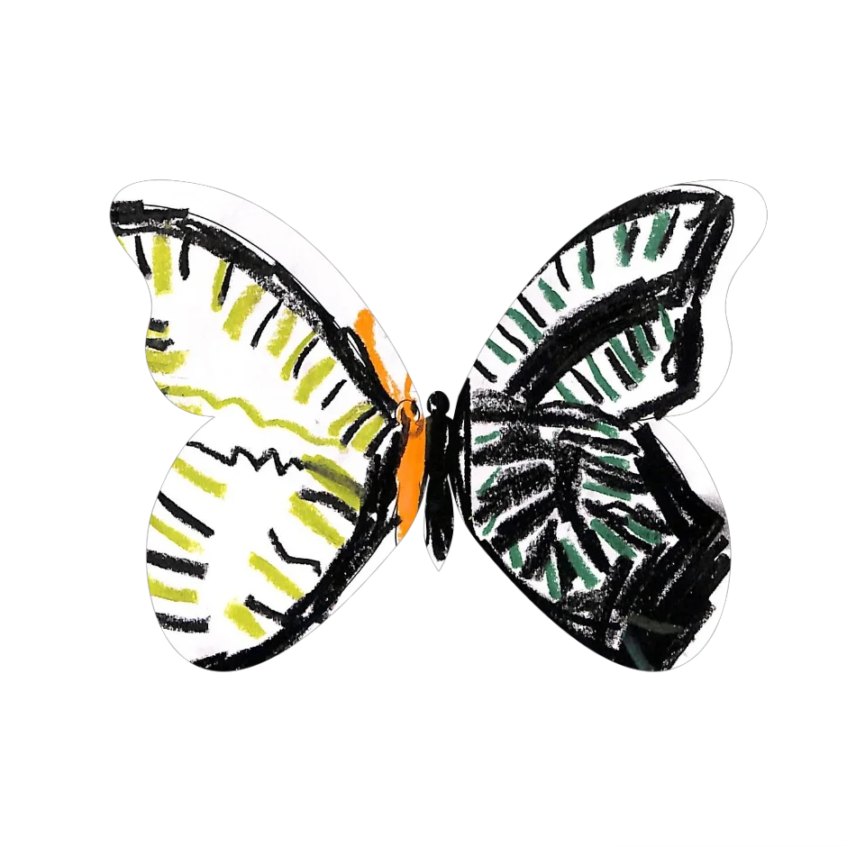 Original Butterfly Image