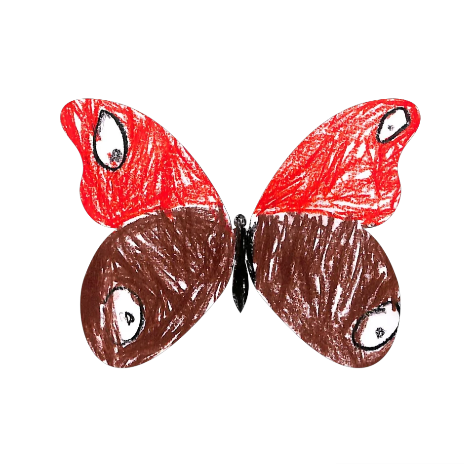 Original Butterfly Image