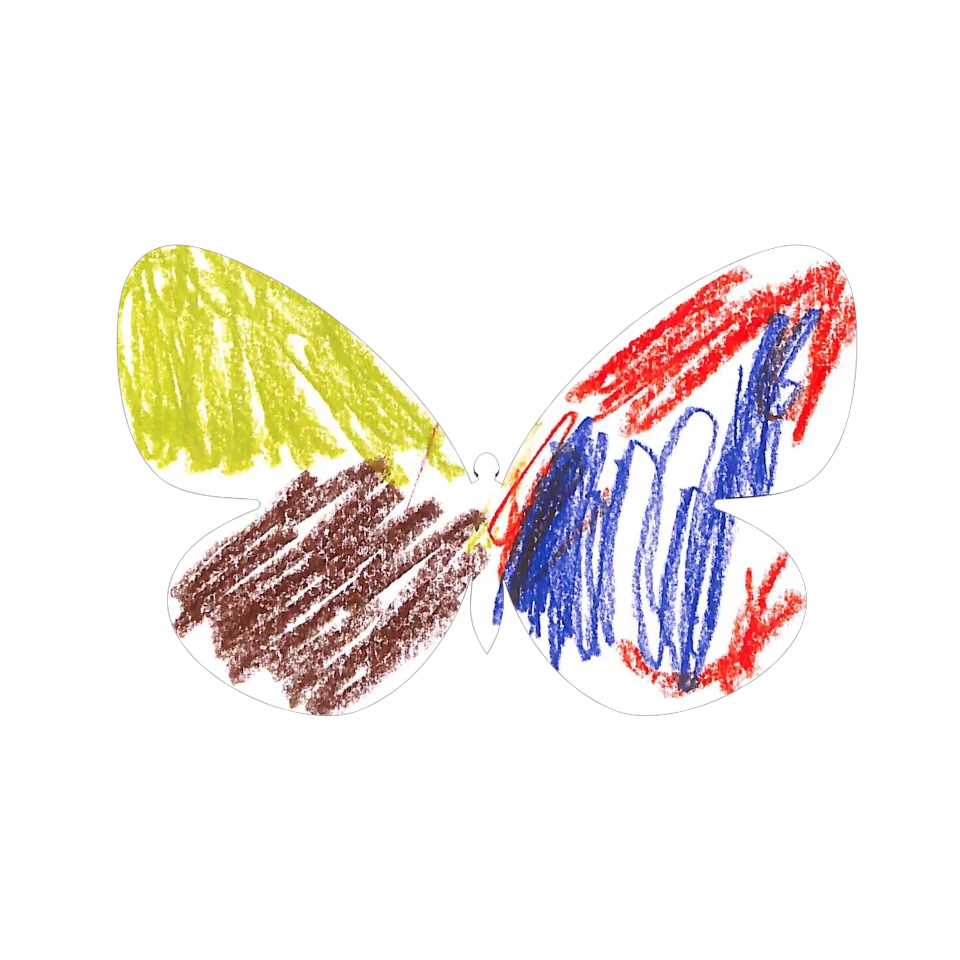 Original Butterfly Image