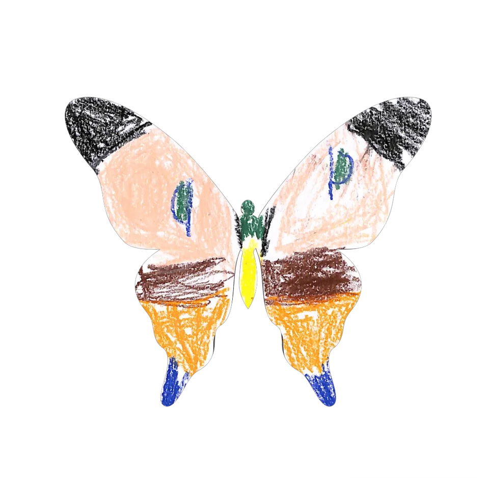 Original Butterfly Image
