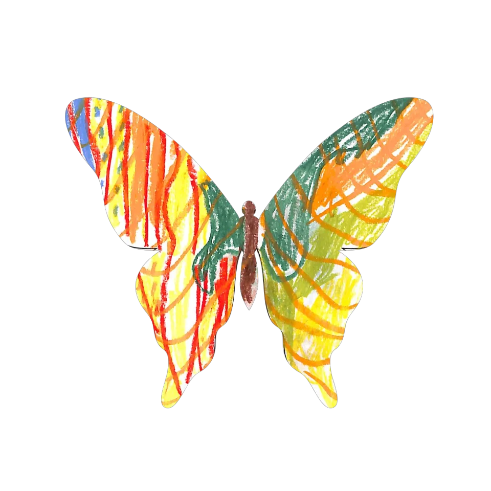 Original Butterfly Image