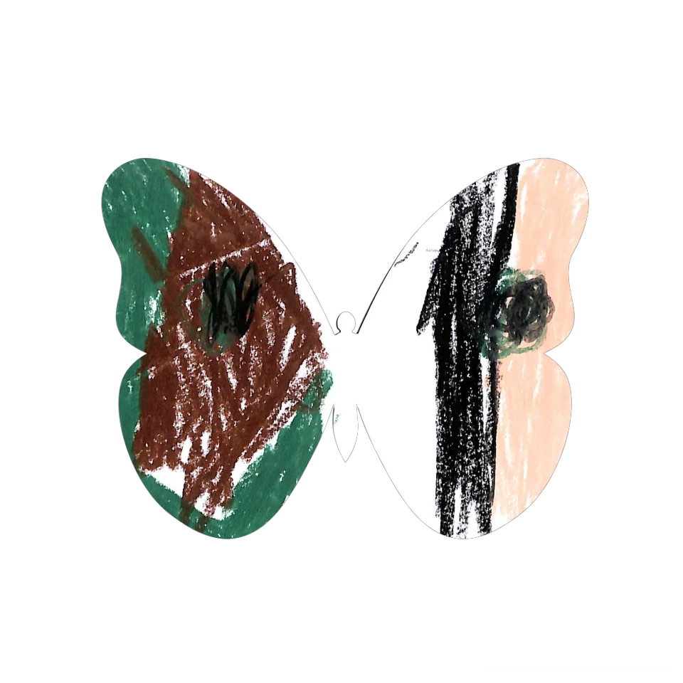 Original Butterfly Image