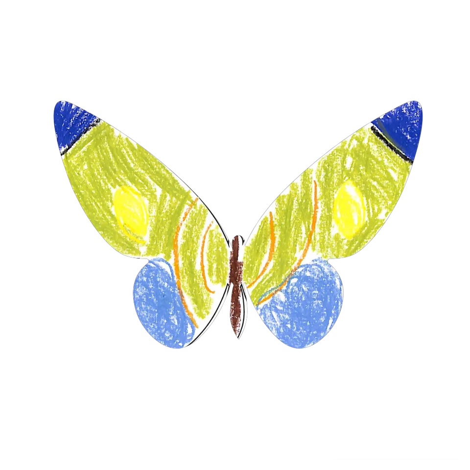 Original Butterfly Image