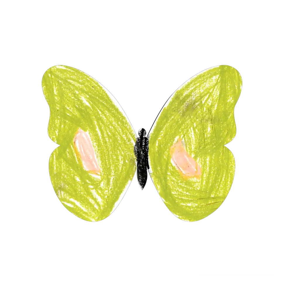 Original Butterfly Image