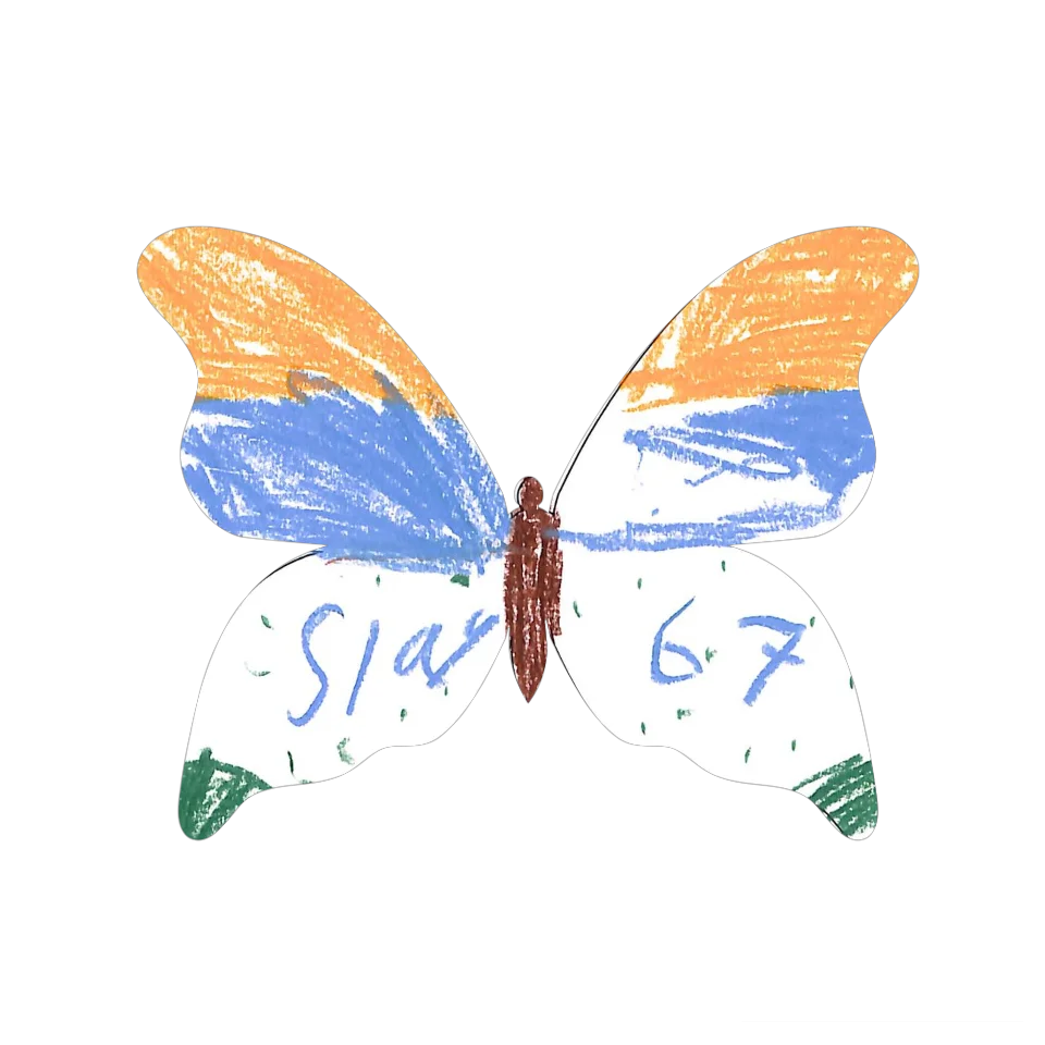 Original Butterfly Image