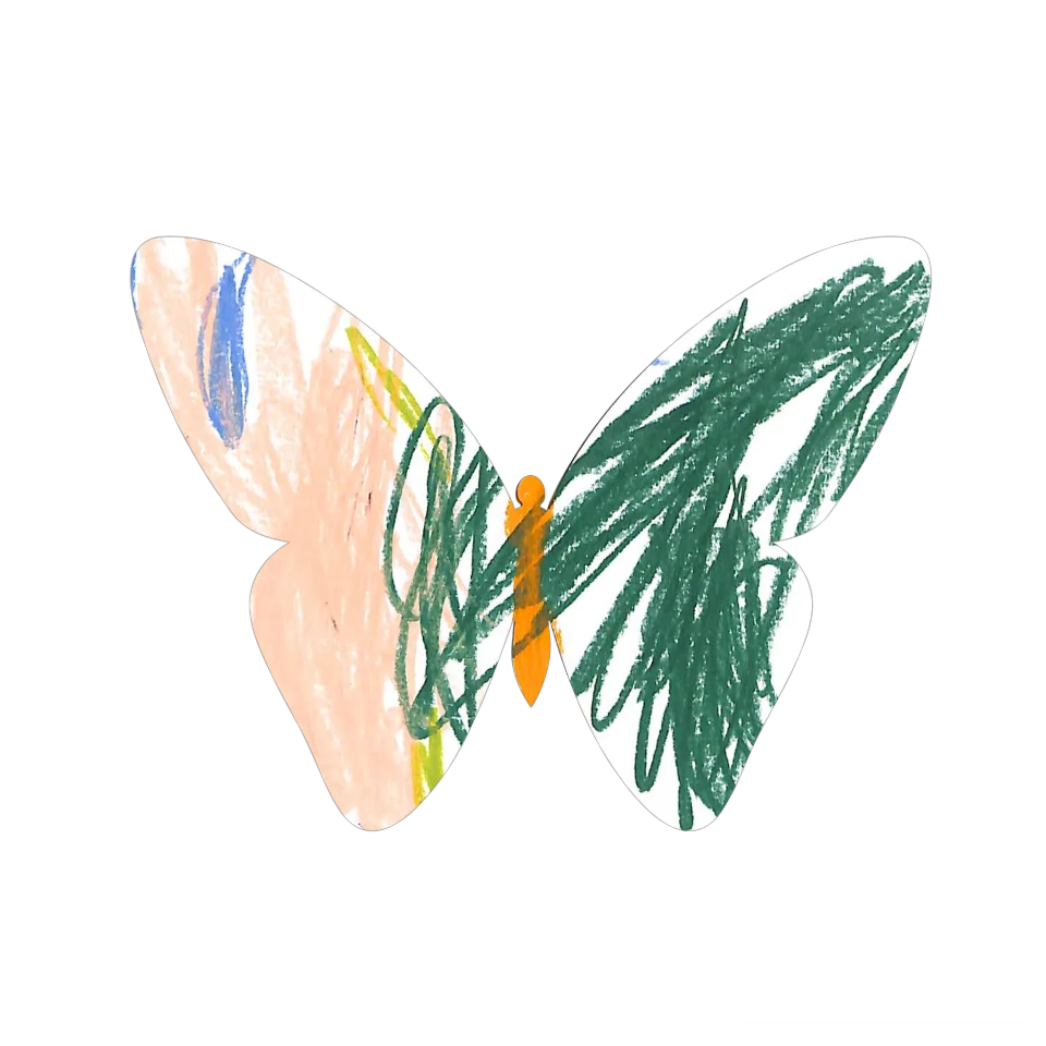 Original Butterfly Image