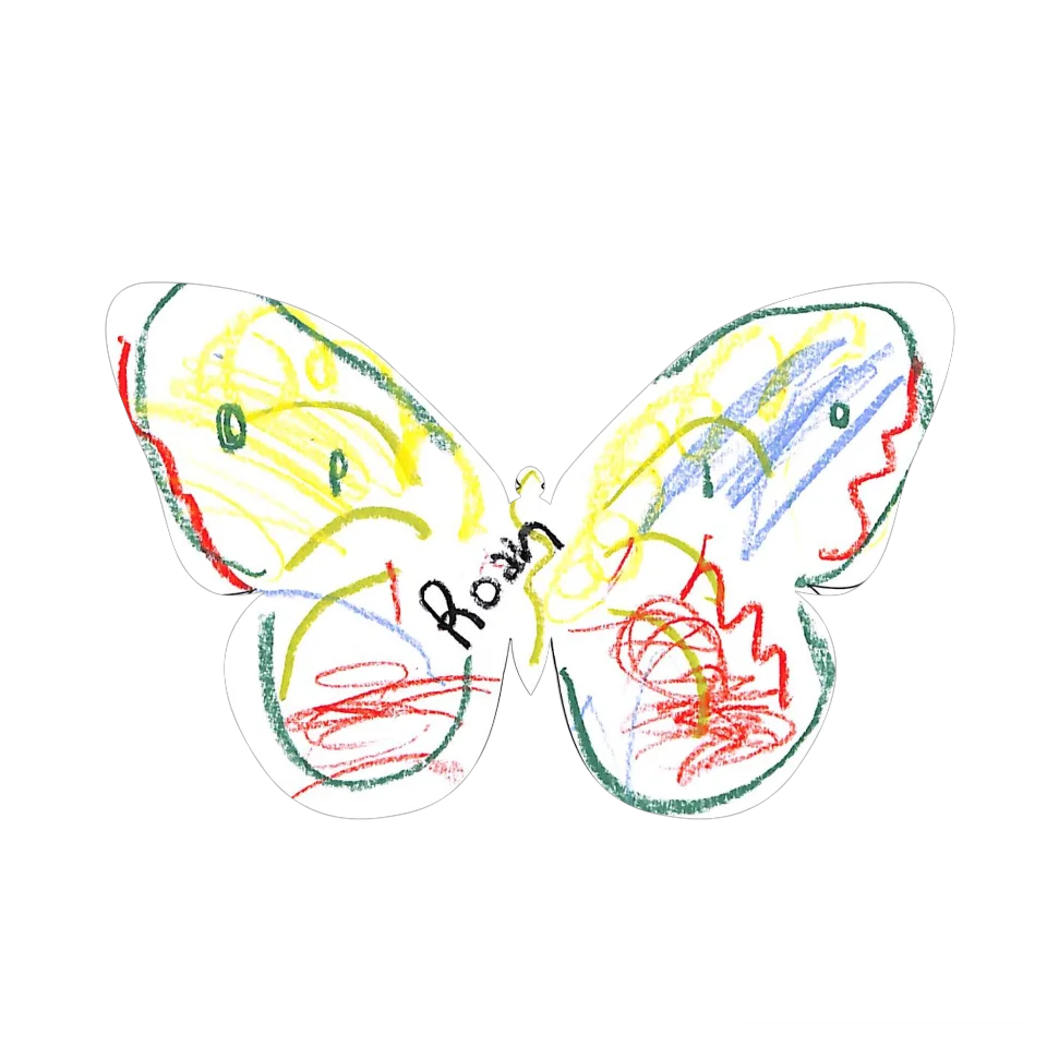 Original Butterfly Image
