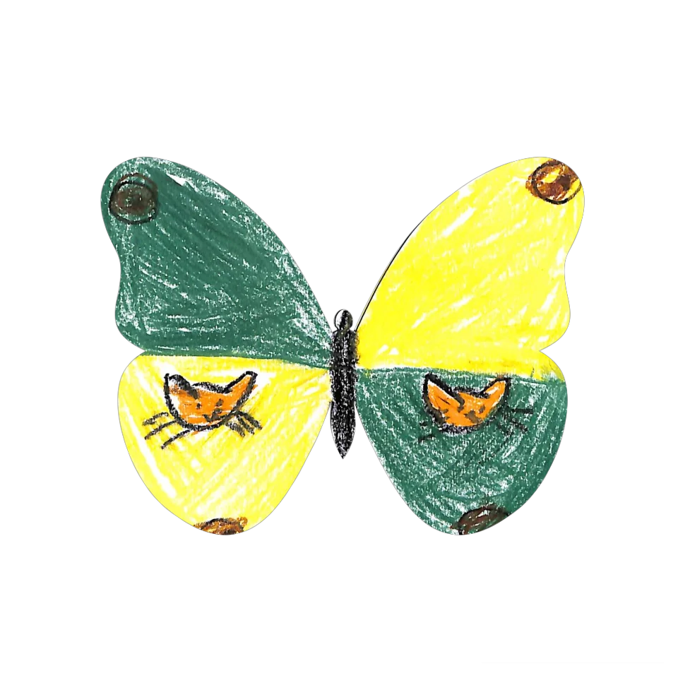 Original Butterfly Image
