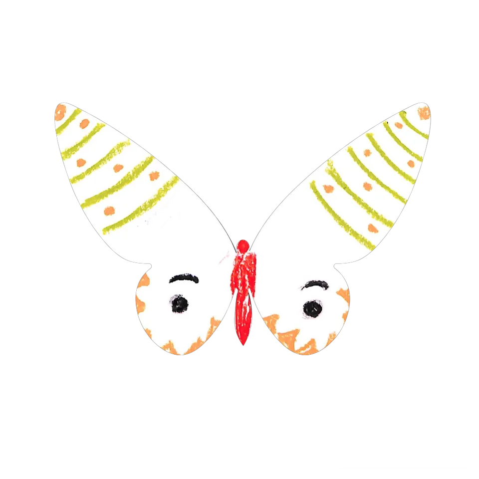 Original Butterfly Image