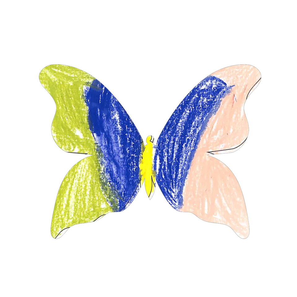Original Butterfly Image