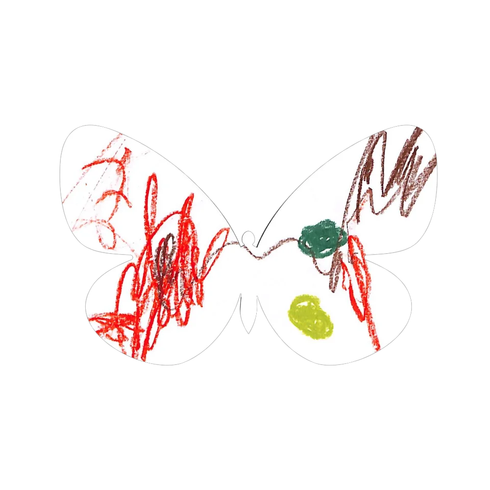 Original Butterfly Image
