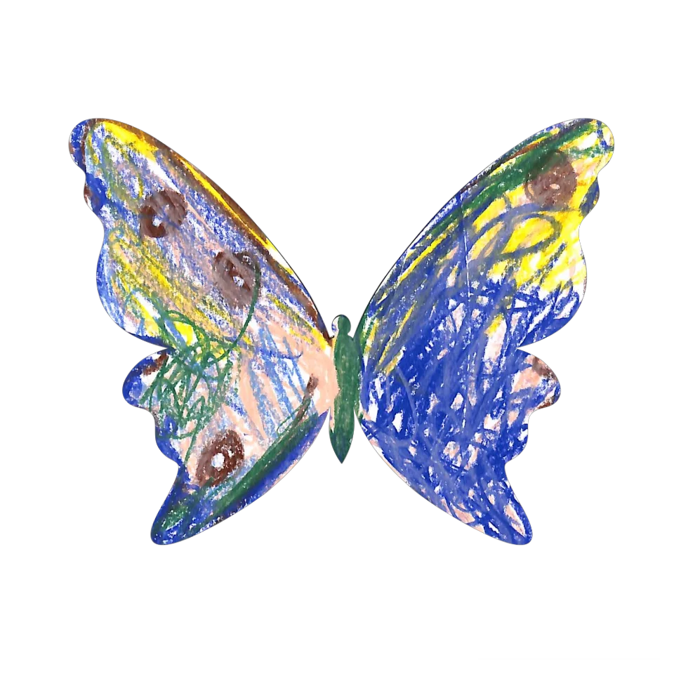 Original Butterfly Image