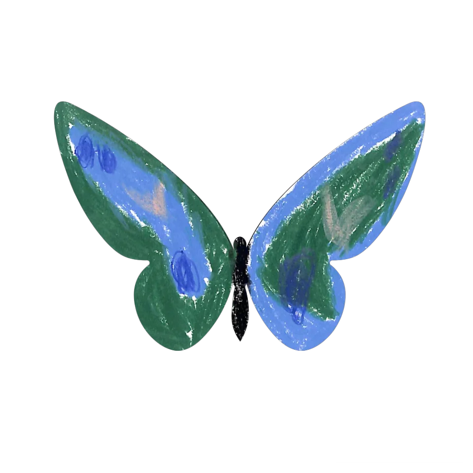 Original Butterfly Image