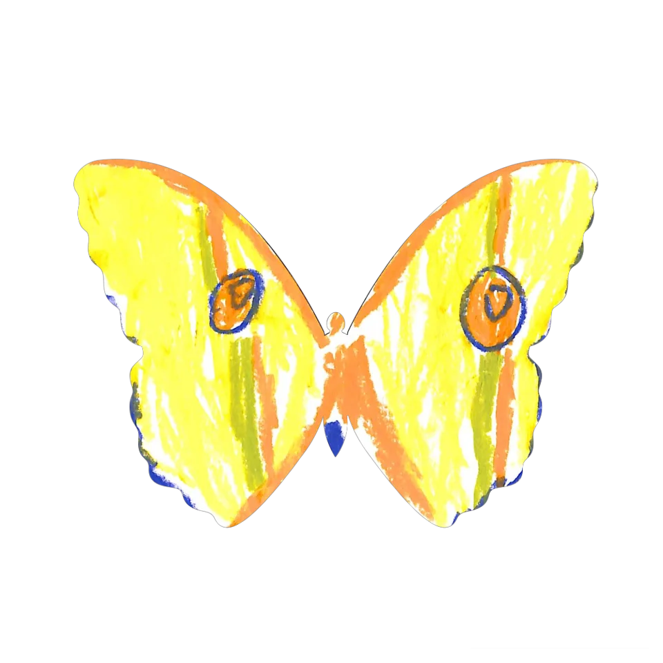 Original Butterfly Image