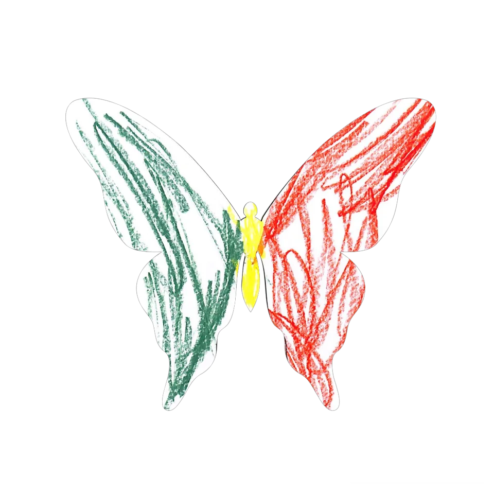 Original Butterfly Image