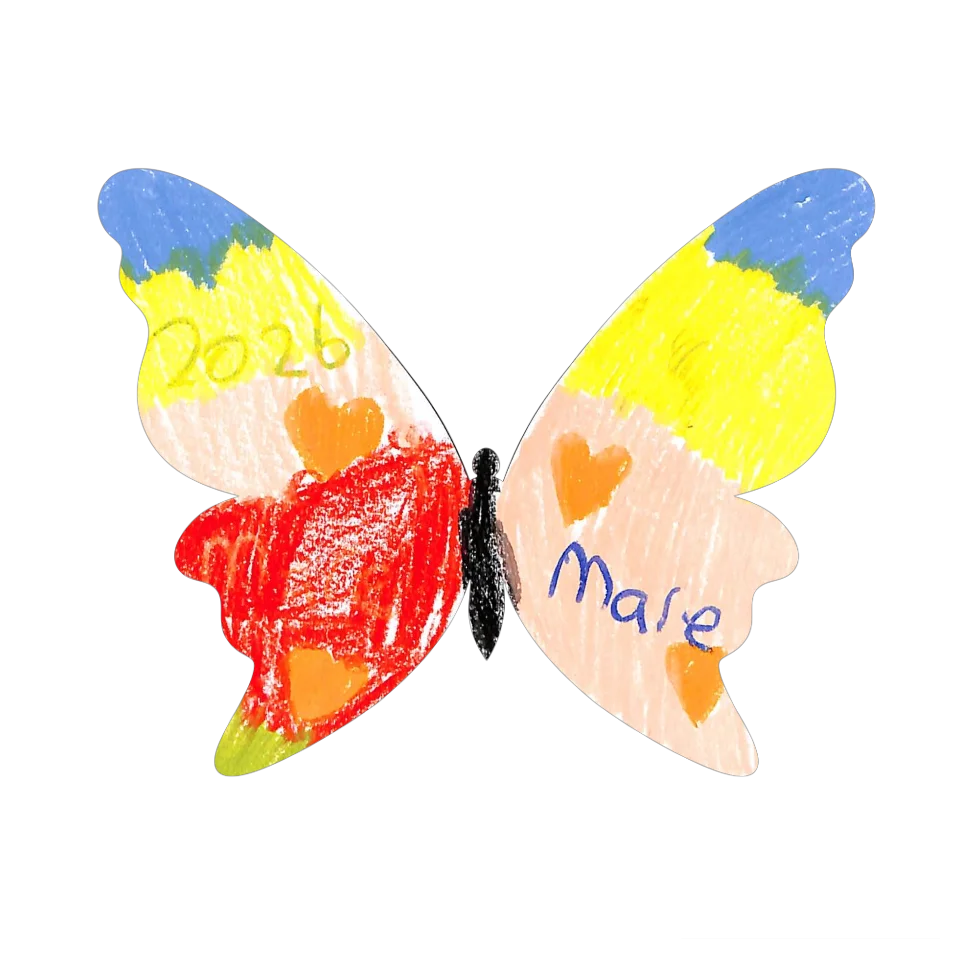 Original Butterfly Image