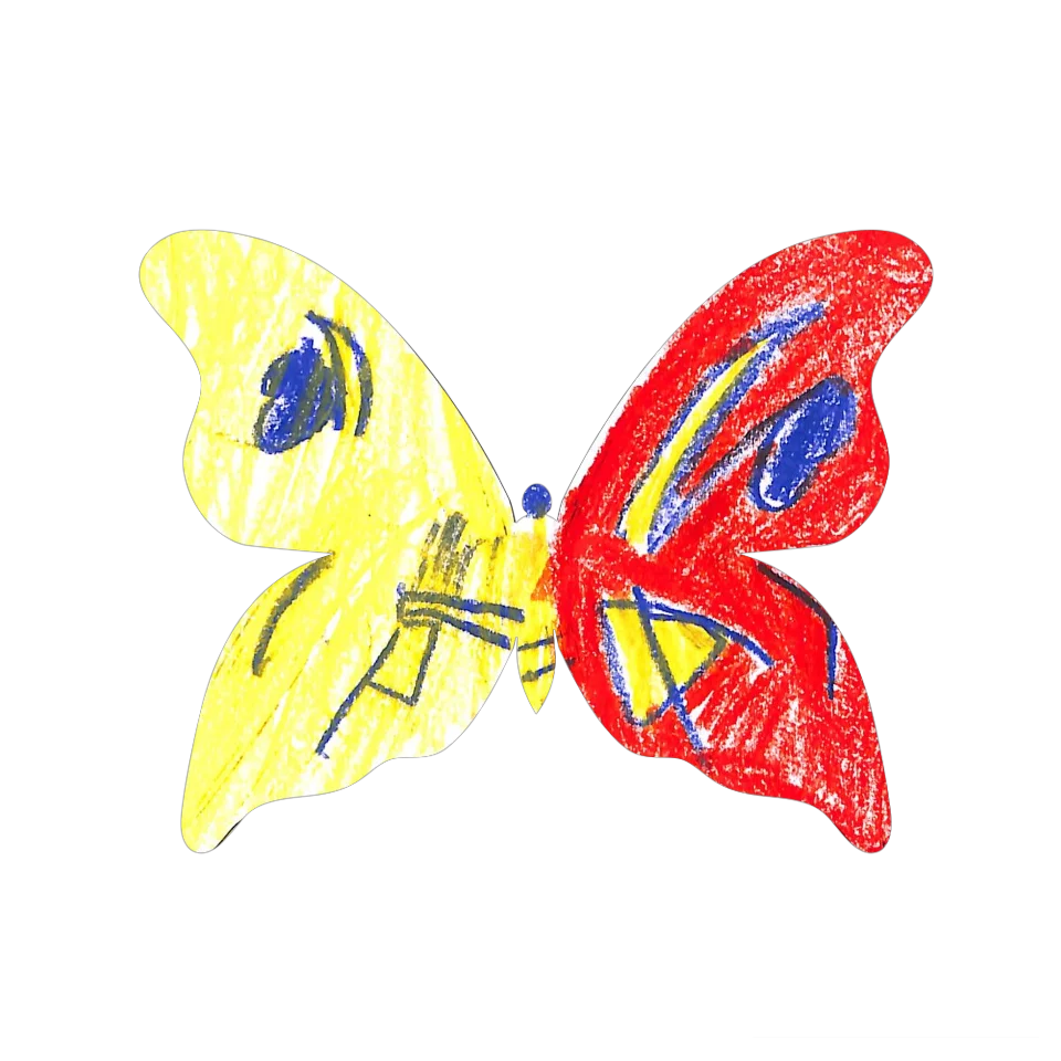 Original Butterfly Image