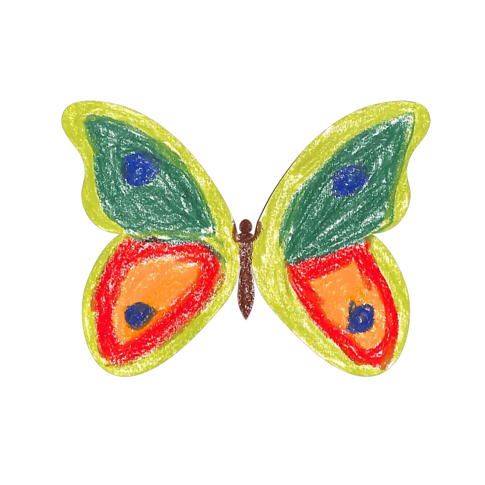 Original Butterfly Image