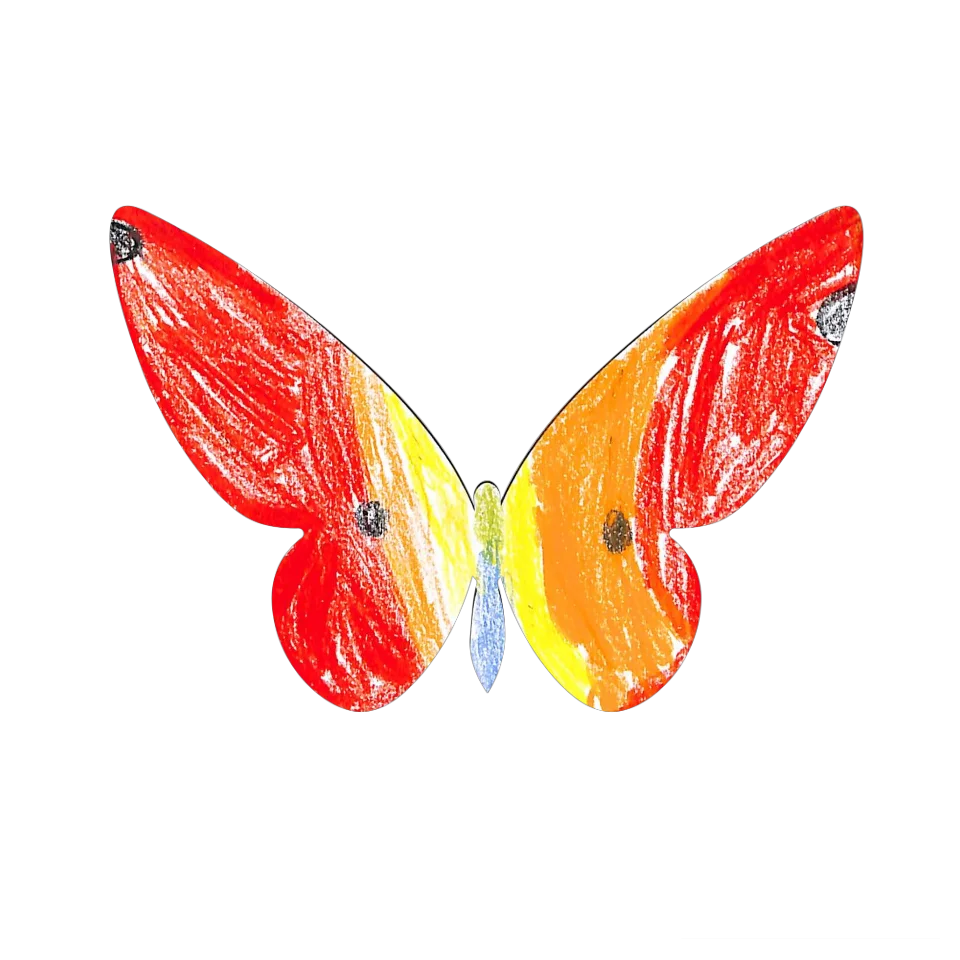 Original Butterfly Image