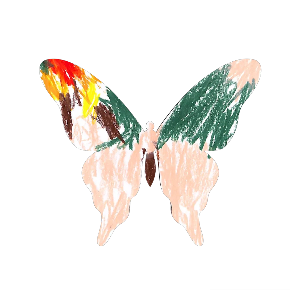Original Butterfly Image