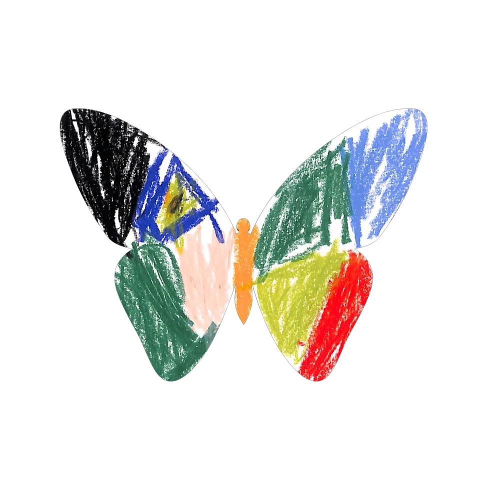Original Butterfly Image