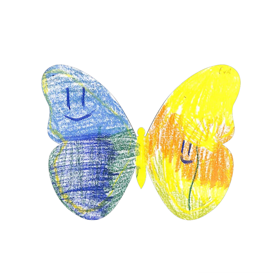 Original Butterfly Image