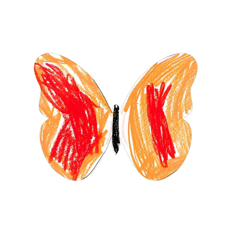 Original Butterfly Image