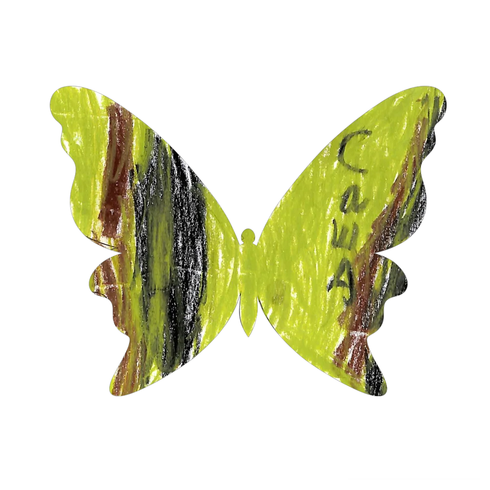 Original Butterfly Image