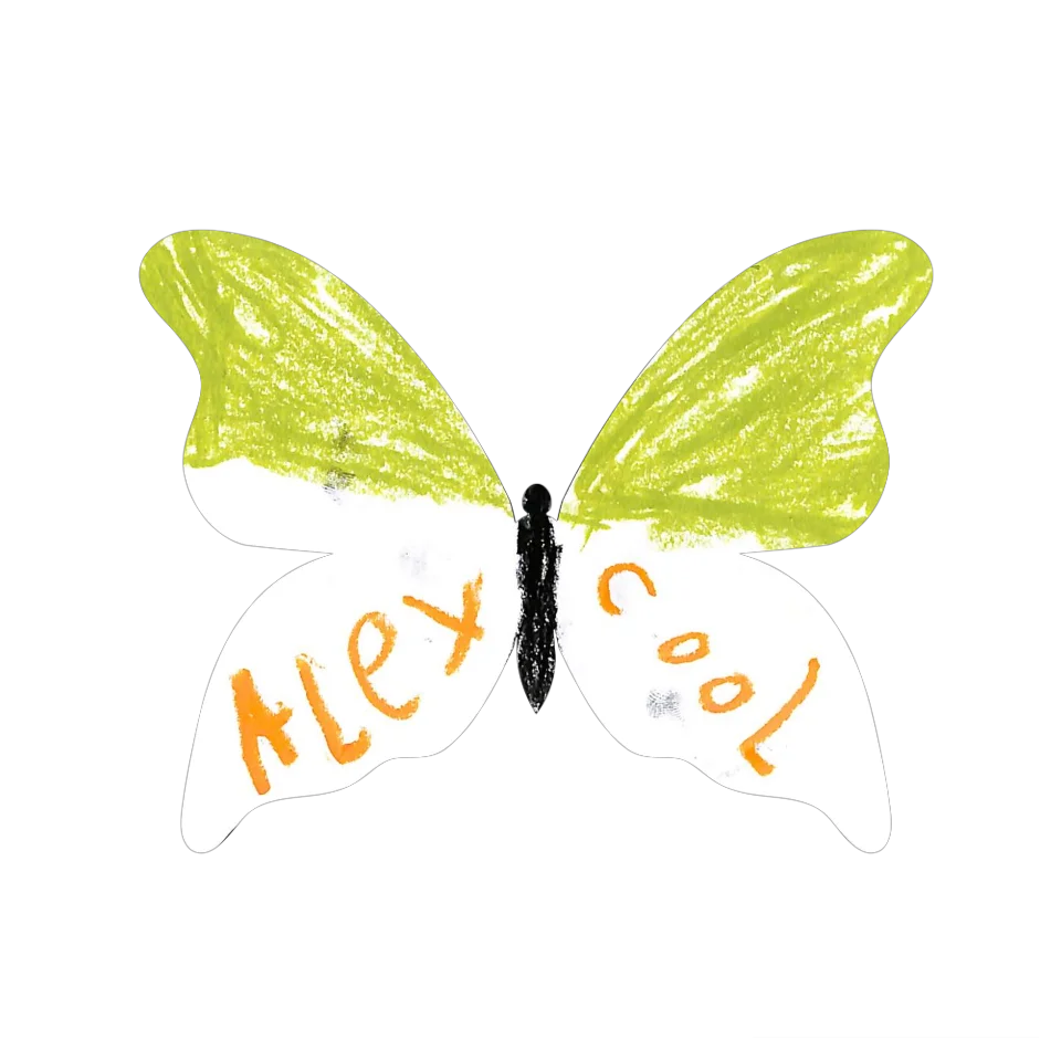 Original Butterfly Image
