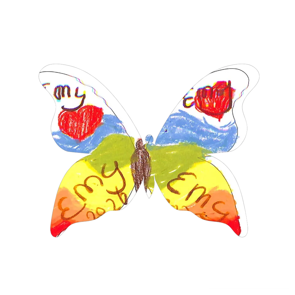Original Butterfly Image
