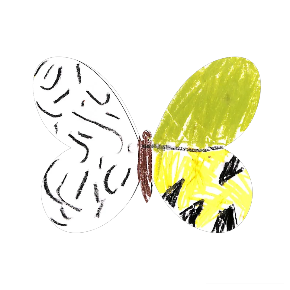 Original Butterfly Image