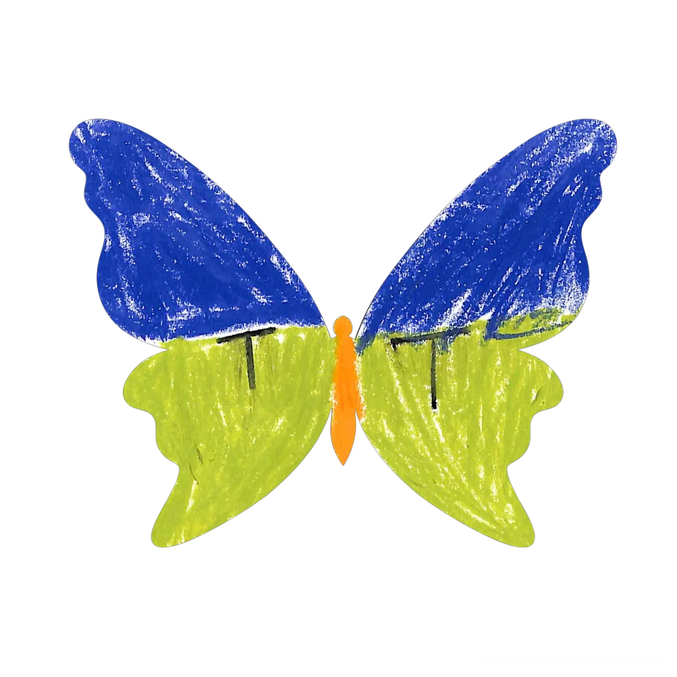 Original Butterfly Image