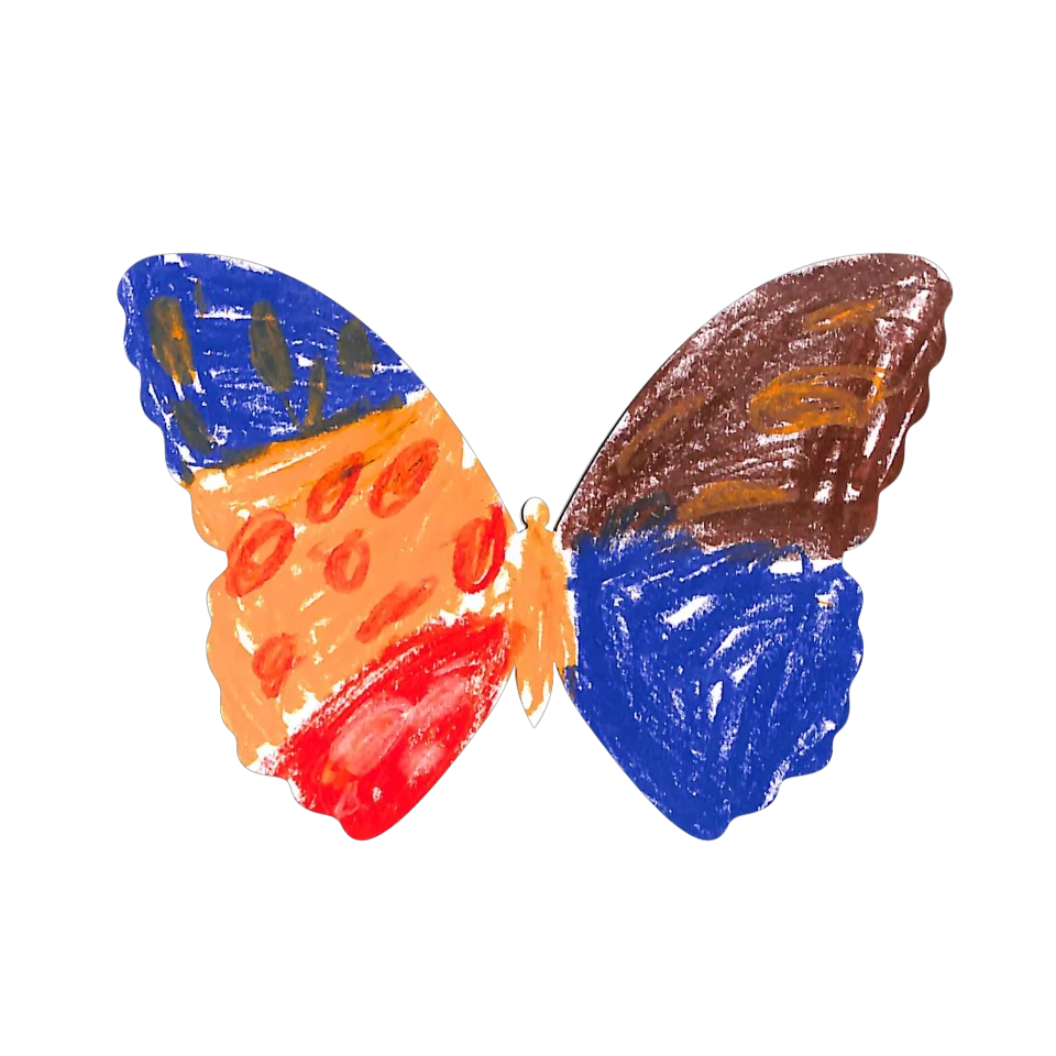 Original Butterfly Image