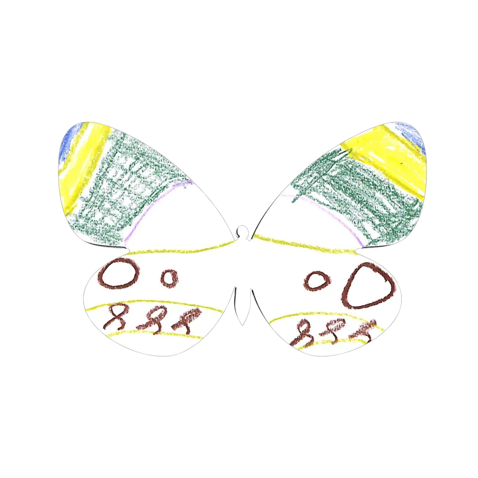 Original Butterfly Image