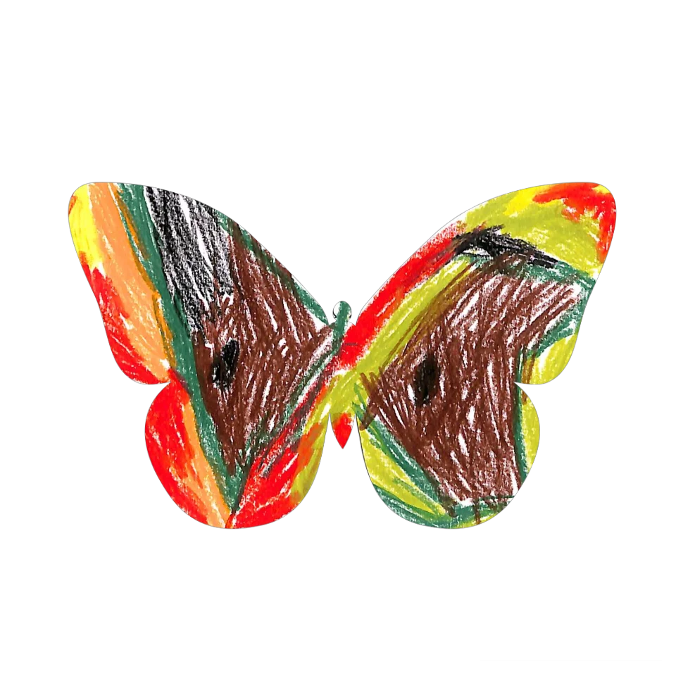Original Butterfly Image