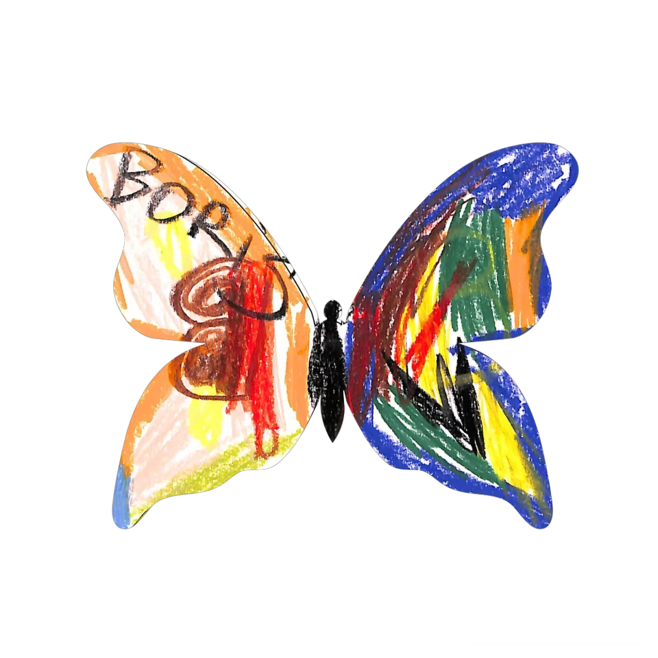 Original Butterfly Image