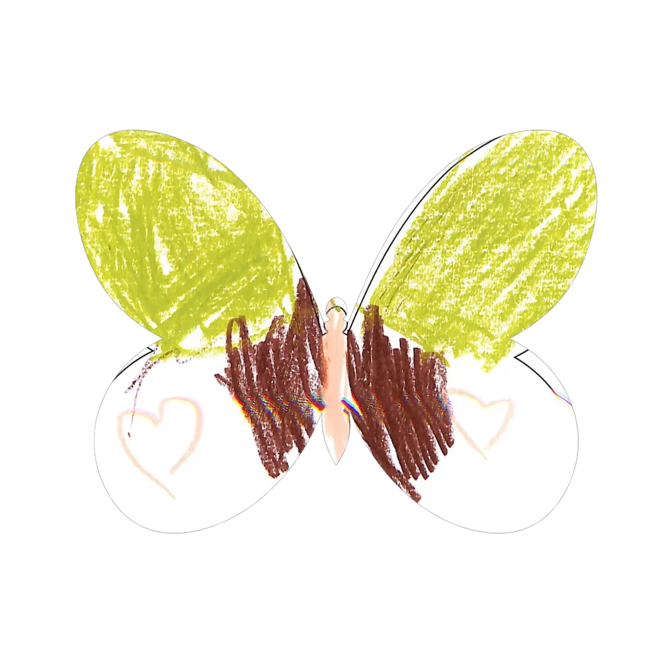 Original Butterfly Image